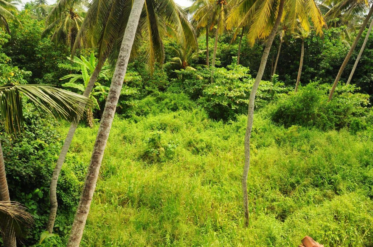 Deutsch Lanka Telwatta